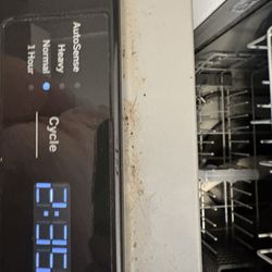 Rize Property Management - Dirty dishwasher seal- food? Particles?
