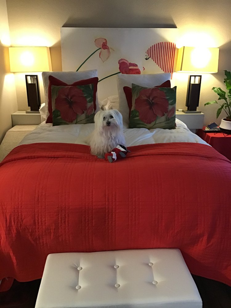 FLUFFY PUP 14 Photos Yorba Linda, California Pet Groomers Phone