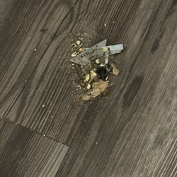 Super 8 by Wyndham Rahway/Newark - Dirt floor