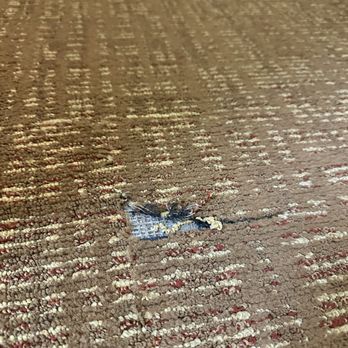 Courtyard Salisbury - Damaged carpet - Hotels Near Me - Salisbury, North Carolina