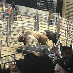 Show Place Arena - Bullpen