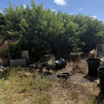 Holly Oak Arbor Care - Pepper tree roots and stump to be removed - Tree Services Near Me Holly Oak Arbor Care - Pepper tree roots and stump to be removed - Tree Services Near Me