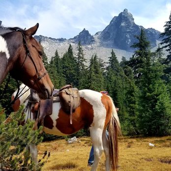 Diamond Lake Corrals - Horseback Riding Near Me - Diamond Lake, Oregon Diamond Lake Corrals - Horseback Riding Near Me - Diamond Lake, Oregon
