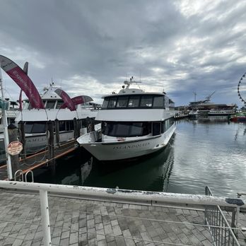 Miami Bayside Boat Tour - Tours Near Me - Miami, Florida Miami Bayside Boat Tour - Tours Near Me - Miami, Florida
