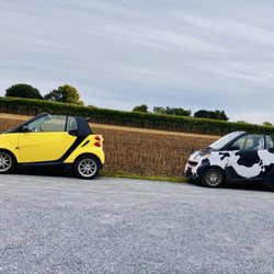Strasburg Scooters & Tours - Our car quacked, the car cow mooed