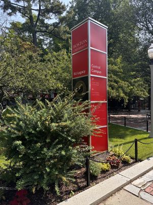 Boston University by null