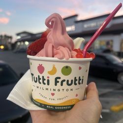 Small Frozen Yogurt