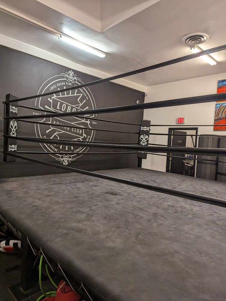 Lobos Boxing Club Logo