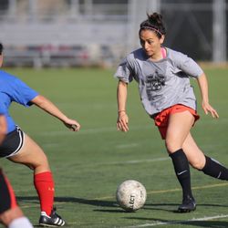 Pasadena Adult Soccer League - Largest & Longest Running 7X7 League 365   Monday COED! Men's Chill League! Use our website for sign up info or give us a call today!