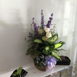 MyFlorist Dish Garden