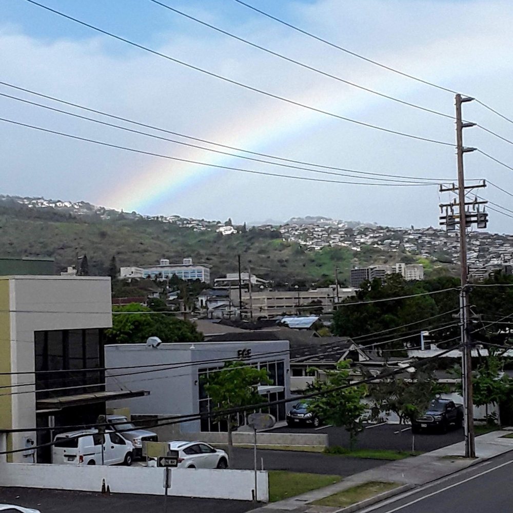 Young Hawaii Homes - View from the 3rd floor apt. on S. Beretania Street.. lower Manoa valley, the Stan Sheriff Center and much more.. - Property Management Near Me - Honolulu, Hawaii Young Hawaii Homes - View from the 3rd floor apt. on S. Beretania Street.. lower Manoa valley, the Stan Sheriff Center and much more.. - Property Management Near Me - Honolulu, Hawaii