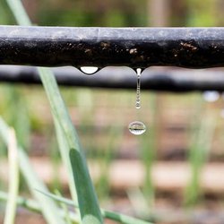 H2O Irrigation