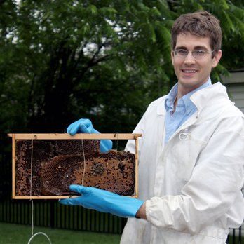 Rose Pest Solutions - Mark Vanderwerp, Rose Manager of Education and Training, removes a bee hive to be relocated. - Pest Control Near Me - Troy, Michigan Rose Pest Solutions - Mark Vanderwerp, Rose Manager of Education and Training, removes a bee hive to be relocated. - Pest Control Near Me - Troy, Michigan