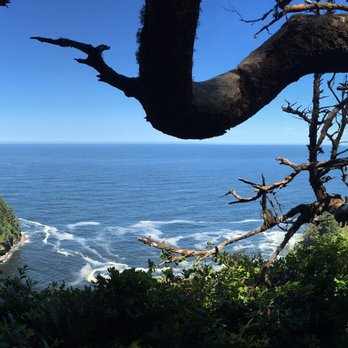 Cape Lookout State Park - Parks Near Me - Tillamook, Oregon Cape Lookout State Park - Parks Near Me - Tillamook, Oregon