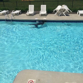 Scuba Clean Pools - Pool & Hot Tub Service Near Me Scuba Clean Pools - Pool & Hot Tub Service Near Me