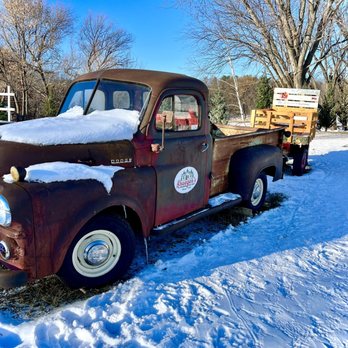 Krueger's Christmas Tree Farm - Photo spot - Christmas Trees Near Me - Lake Elmo, Minnesota