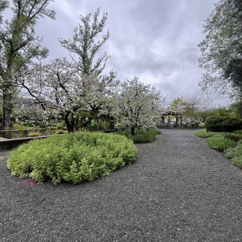 Frog's Leap Winery - Wineries Near Me - Rutherford, California