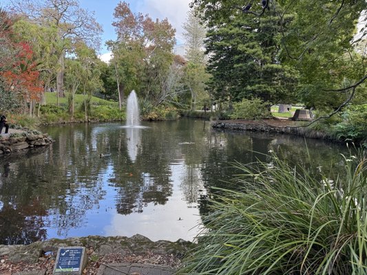 Auckland Domain by null