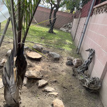 Tree Services Flores - Tree Services Near Me Tree Services Flores - Tree Services Near Me