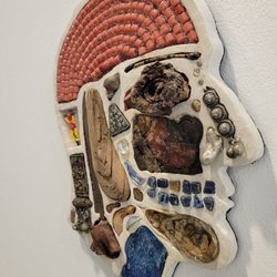 Reeves House Visual Arts Center - Cabinet of curiosities exhibit
