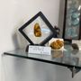 Amber Collection