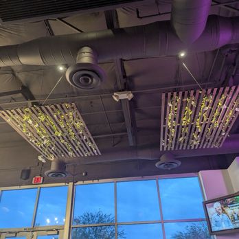 ZONA Cantina + Cocina - Mexican Near Me - Gilbert, Arizona ZONA Cantina + Cocina - Mexican Near Me - Gilbert, Arizona