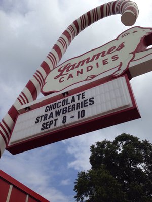 Lammes Candies at Airport Blvd by null
