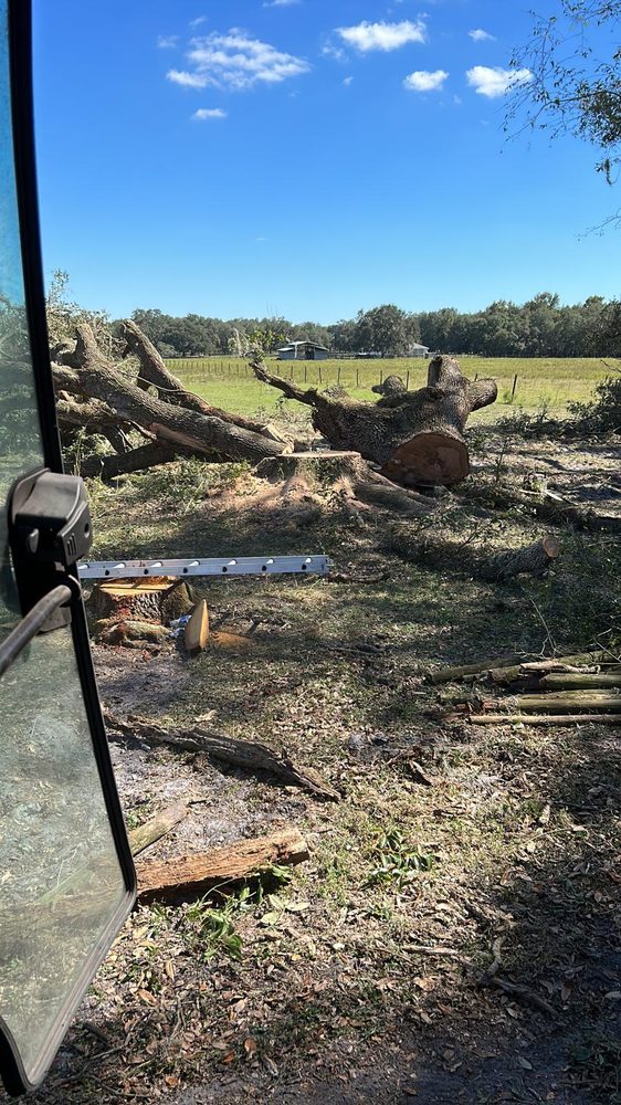 R&G Tree Service Solutions - tree service in Tampa Bay, FL