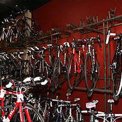 Elite Cycling - Elite Cycling Bicycles