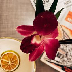 Modern Hotel - Best-in-town cocktails