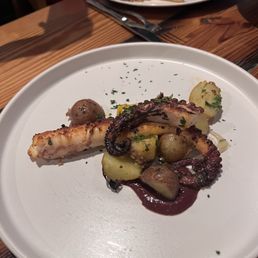 Octopus Octopus