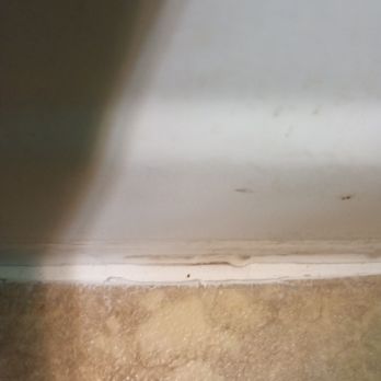 Elite Flooring - Cracking in the shitty caulk job, the next day!!! - Flooring Near Me Elite Flooring - Cracking in the shitty caulk job, the next day!!! - Flooring Near Me
