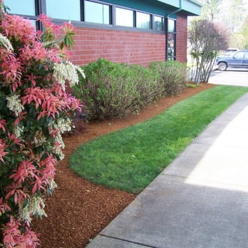 Lakeside Environmental Landscape Maintenance - I would love the chance to maintain your commercial property!
Free Estimates! - Landscaping Near Me - Corvallis, Oregon Lakeside Environmental Landscape Maintenance - I would love the chance to maintain your commercial property!
Free Estimates! - Landscaping Near Me - Corvallis, Oregon