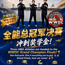 Advance Martial Arts Academy