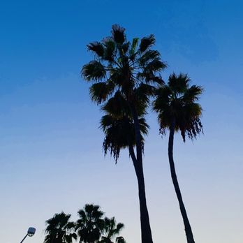 The Westin Long Beach - Hotels Near Me - Long Beach, California The Westin Long Beach - Hotels Near Me - Long Beach, California