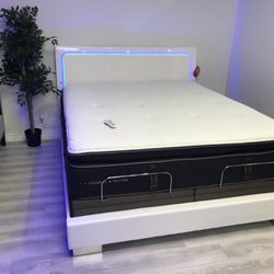 C.A. Mattress Store - Sterns & Foster Reserve Line