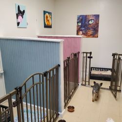 Otter's Ark