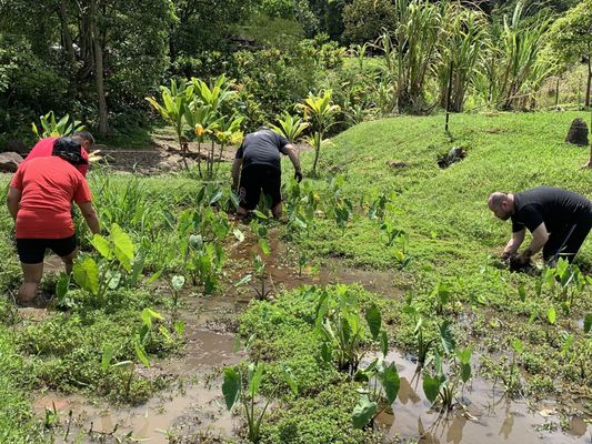 Paepae o He'eia by null