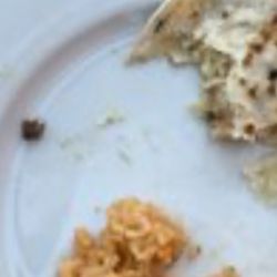 Sr Sol - A bug in my Quesadilla