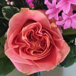 Wilted roses received in arrangement.