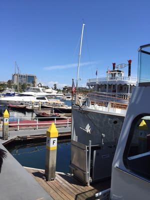 Balboa Pavilion by null