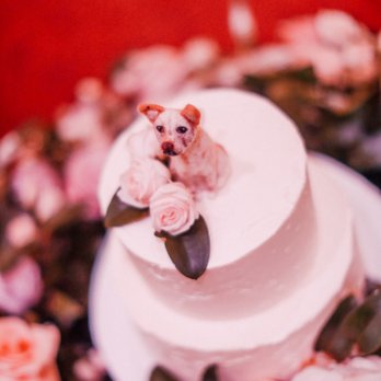 Molly's Cupcakes - a wedding cake decorated with flowers - Cupcakes Near Me - Des Moines, Iowa