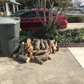 Stumpman - Tree Services Near Me Stumpman - Tree Services Near Me