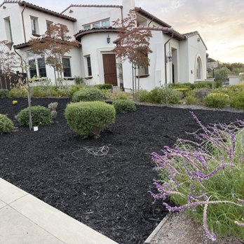 Social Spaces - Mulch the whole yard - Landscaping Near Me Social Spaces - Mulch the whole yard - Landscaping Near Me