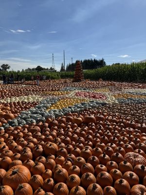 Swans Trail Farms by null