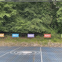 Kiwi Country Day Camp