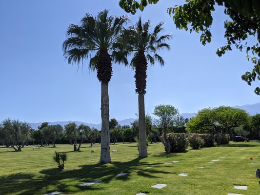 Desert Memorial Park by null