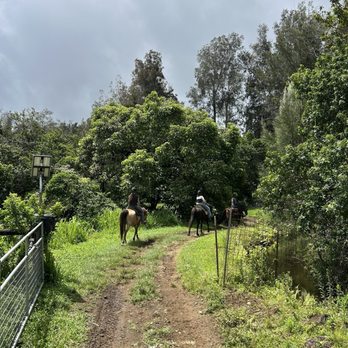 Waipi'o On Horseback - Horseback Riding Near Me - Honokaa, Hawaii Waipi'o On Horseback - Horseback Riding Near Me - Honokaa, Hawaii