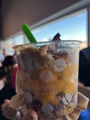 Berry Divine Acai Bowls by null