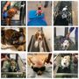 Photo of Hudson Valley Animal Wellness